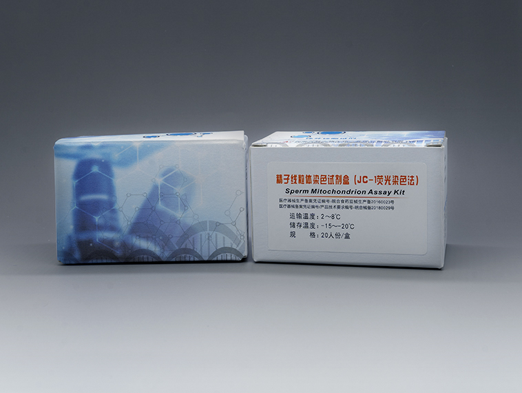 精子線粒體染色試劑盒（JC-1熒光染色法）