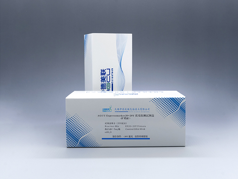 AGCU Expressmarker 20+20Y熒光檢測試劑盒